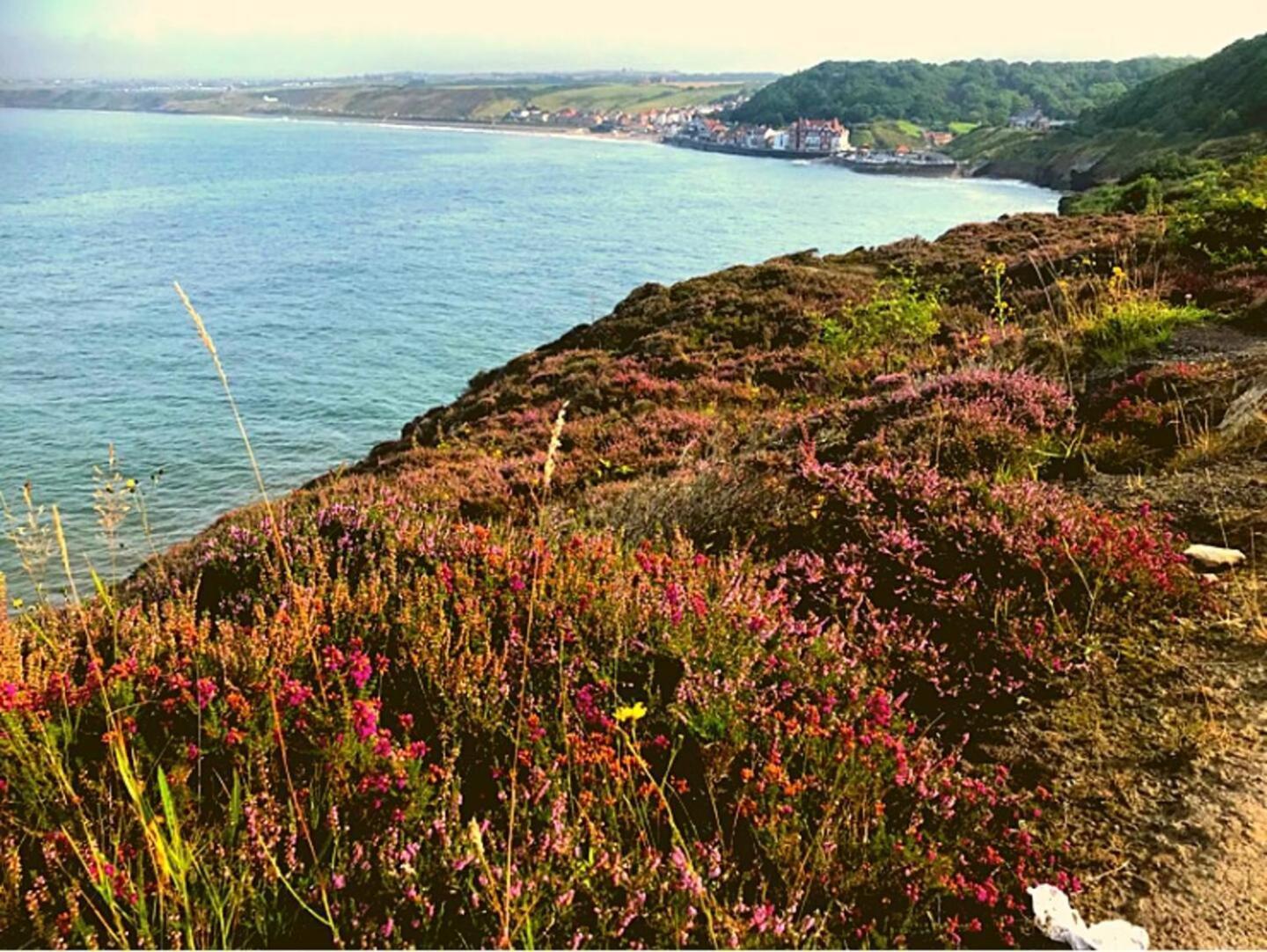 East Cliff View, Heart Of Whitby 惠特比 外观 照片
